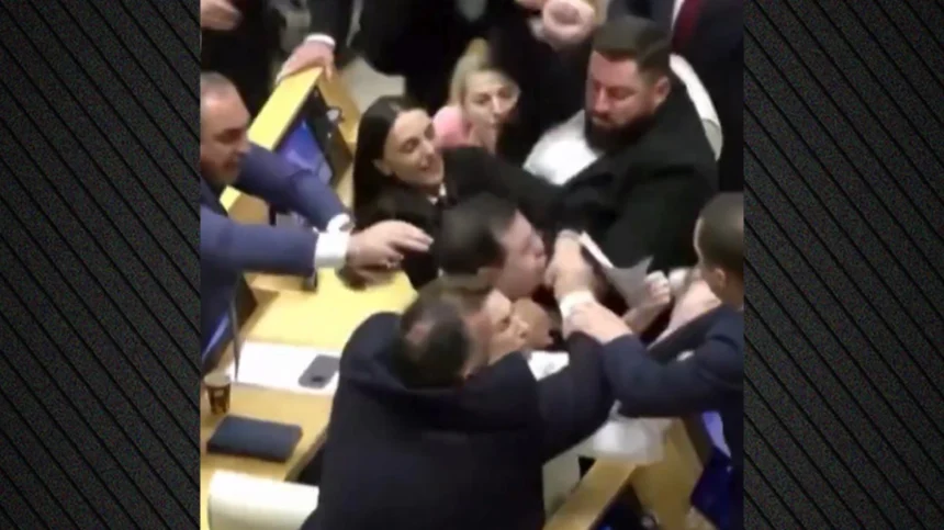 Σε ρινγκ μετατράπηκε το Κοινοβούλιο στη Γεωργία